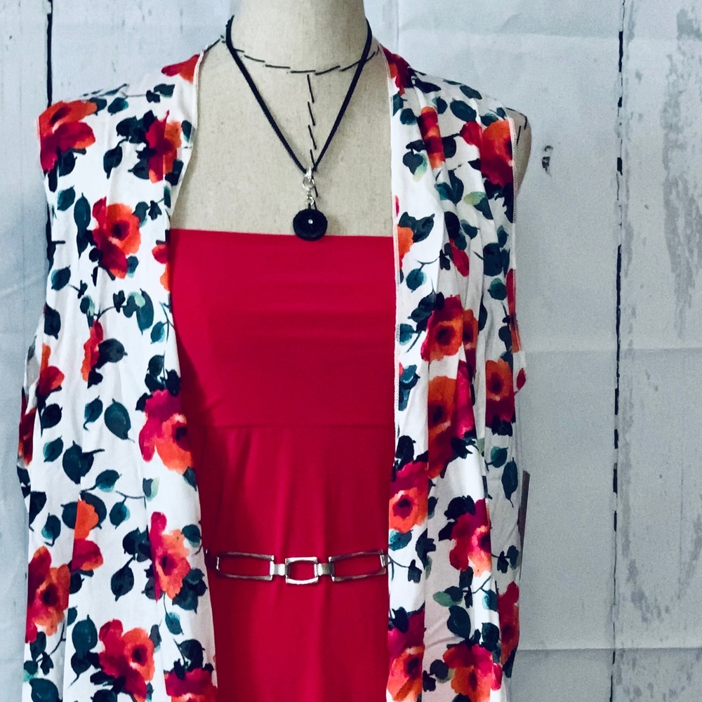 LulaRoe Outfit